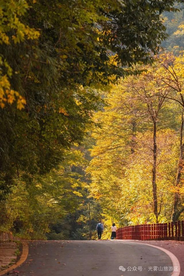宝子你听我说，近期天气好、红叶美，光雾山可以冲了!