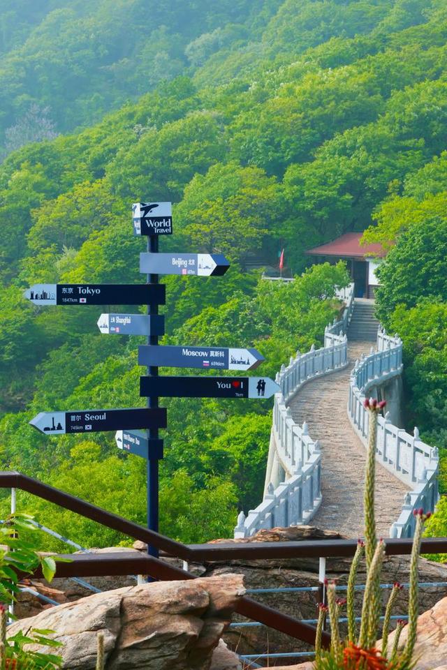 江苏有座海滨小城，4月鲜花开满山头，却被99%的游客路过