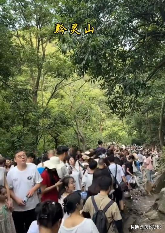 全国游客“攻占”贵州，贵州已完全失守！从避暑天堂沦为人山人海