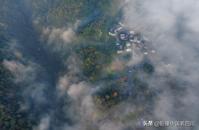 四川雅安：碧峰峡风光旖旎引客来