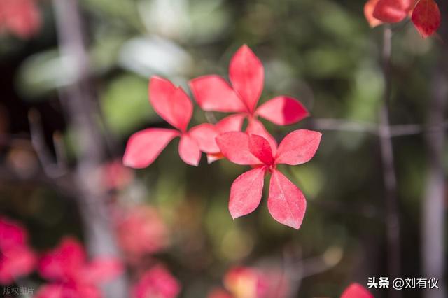 你喜欢这样的旅游方式吗？