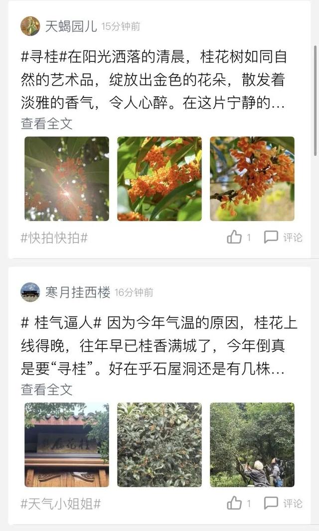 浙江即将升温，再降6-8℃！新一轮冷空气要来
