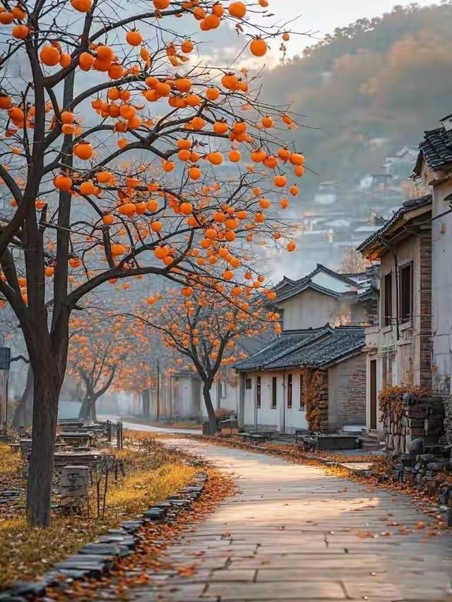 我的家乡太美了