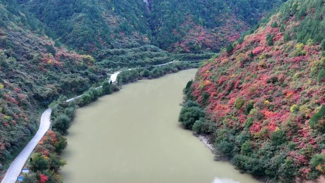 不到西坡，怎知秋色如许？