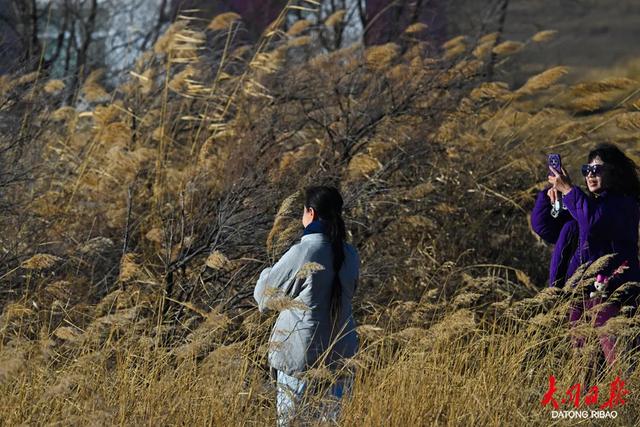初冬限定!大同周边的“柔软远方”,带家人赴一场治愈之约~