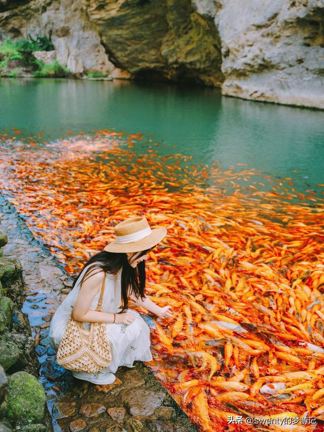 逃离酷暑，我在温州清凉一夏
