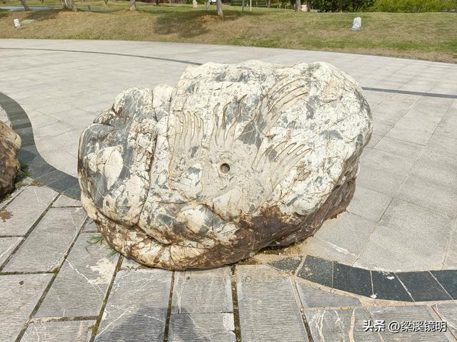 大雪时节，来汤山金乌公园晒暖阳、泡温泉（上）