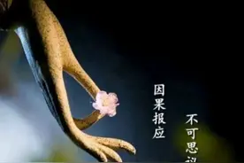 你相信因果报应吗？不是不报，时候未到(二、现世报)图片
