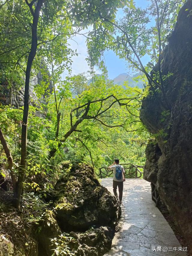 无为在歧路，贵州六日行（8）～黄果树