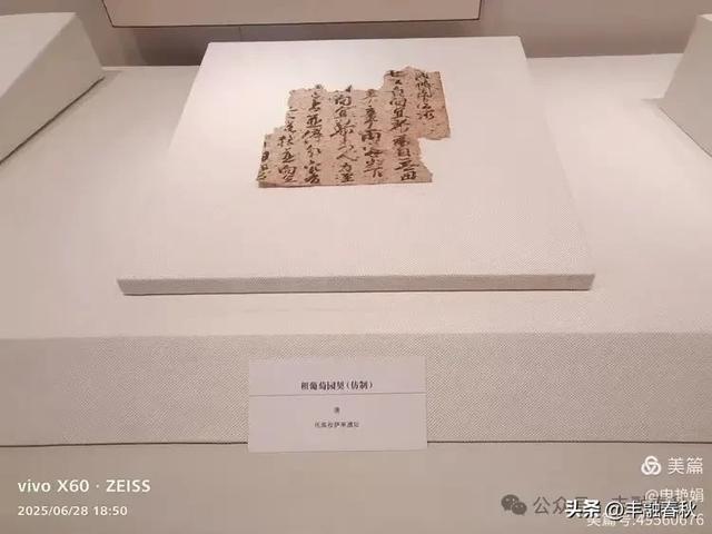 探秘丝路明珠,邂逅巴楚千年文明——走进新疆巴楚博物馆|申艳娟