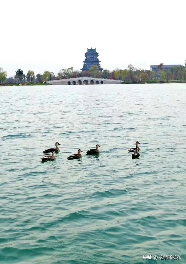 东安湖“上新”三大主题打卡点~