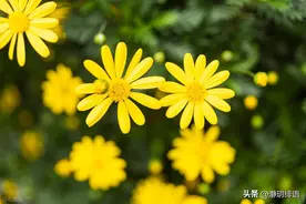 为什么你越对别人好，别人越不会感激，因为你犯了这些错误图片