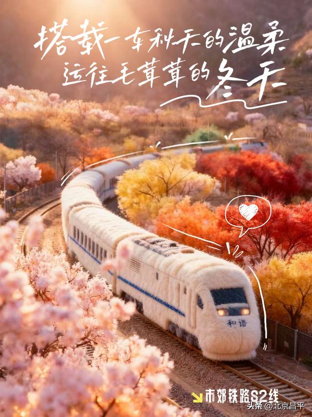 降温啦！一起拥抱“毛茸茸”的冬天