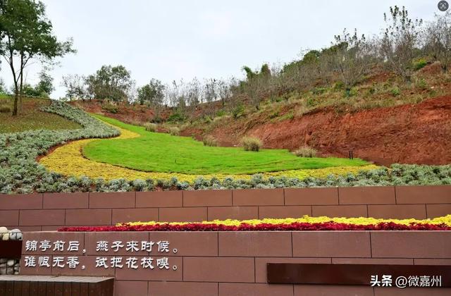 城建第一线丨海棠盛景今日开园 这个假期就到这里享受慢时光