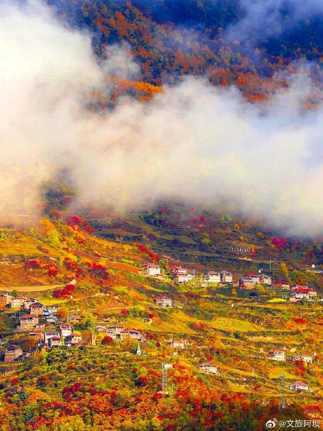 2025年黑水县彩林观赏指数预报|3级，最佳观赏期