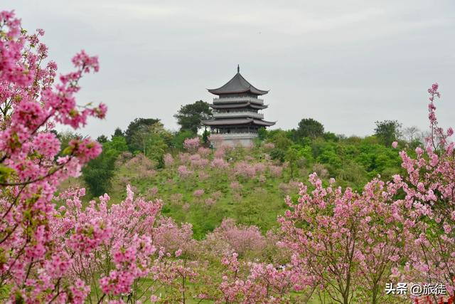 【跟着旅徒游广西】之四十：南宁｜青秀山公园