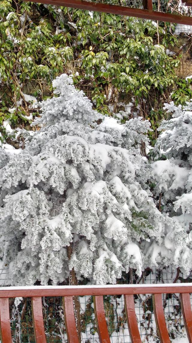 又来？这样的随州，你见没见过？
