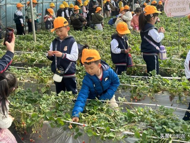 约么？邯郸这4条旅游线路被全省推荐！