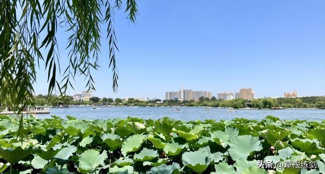 《草根春秋》系列 旅游篇 七 走马观花济南市