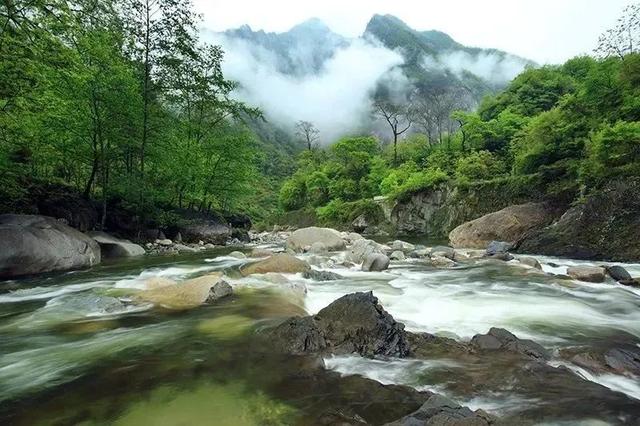露思，青川除了葛根茶和山珍，还有超多美景，避暑纳凉，我在青川等你~