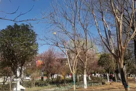 肺结核住院治疗后，回家还会传染给家人吗？图片