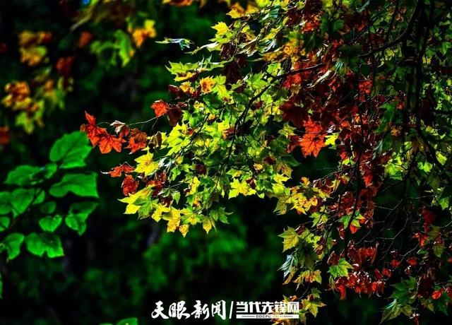 玩转贵安丨走！去贵安新区二十六厂晒太阳