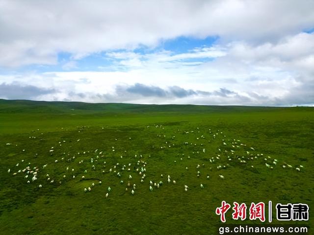 张掖肃南“夏日塔拉”光影如画