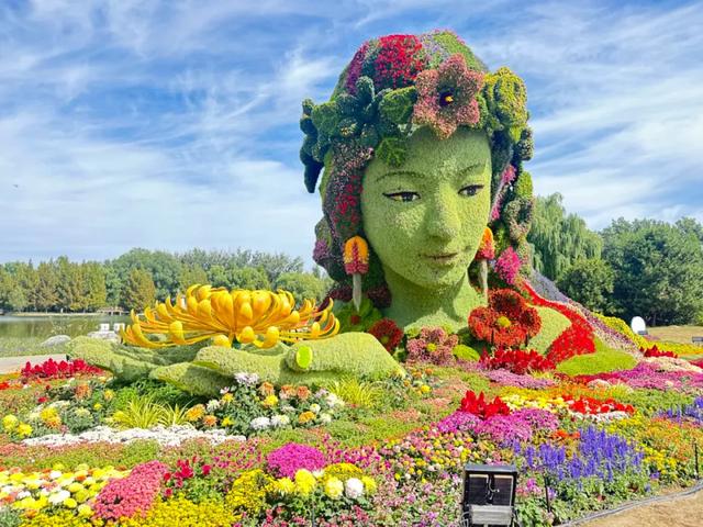 “花开北京·菊韵金秋” 2025北京菊花文化节在北海公园启幕 | 动态