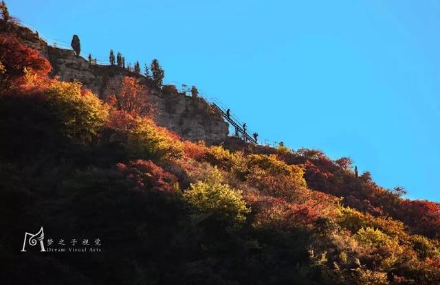 秋日登高指南｜层林浸染处，揽尽青州秋色