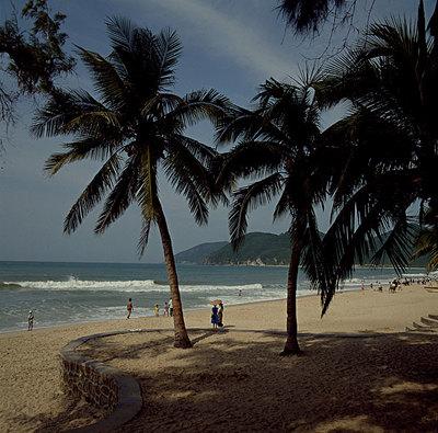 到海南旅居过冬，要选择哪些地区？各有什么优缺点