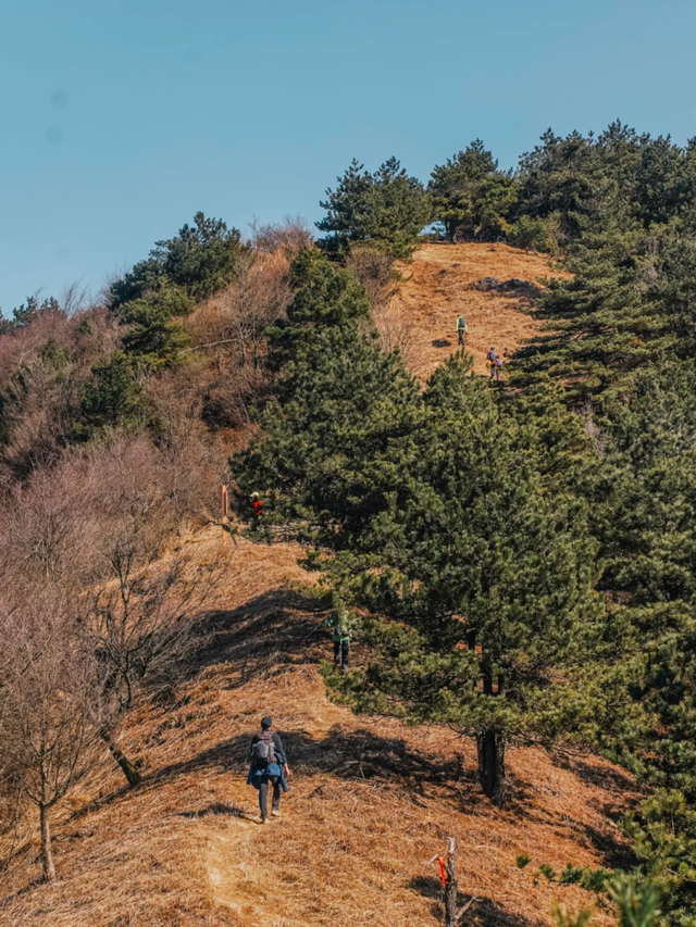 浙西天池关闭？别慌！吴越古道+桃花溪三尖徒步攻略来“救场”～