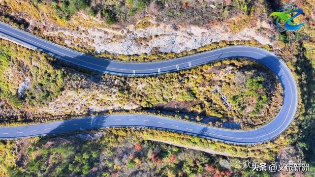 别去日本了！新洲的“同款”风景，美得更懂你