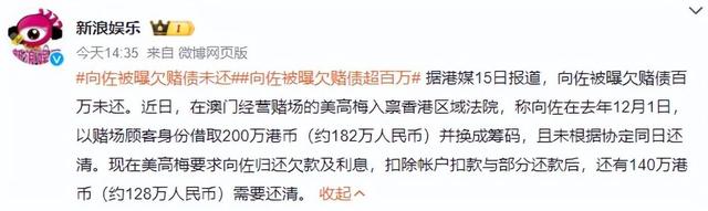 这一次，向佐得罪了大人物，向华强的体面被撕了个稀碎