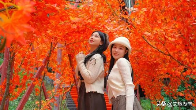 限时绝美!长沙初冬“顶流”上线