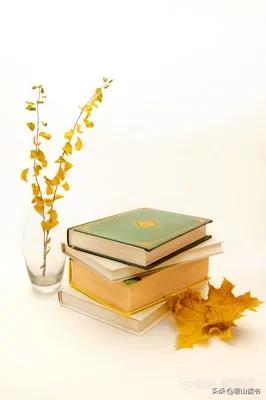 王小波的《黄金时代》讲了一个什么样的故事?