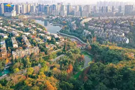 开放啦！重庆235个公园可搭帐篷、冷餐、放风筝🪁图片