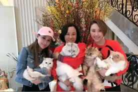 赌王四位太太豪宅:二太三太房子气派，四太梁安琪房子外表破败图片