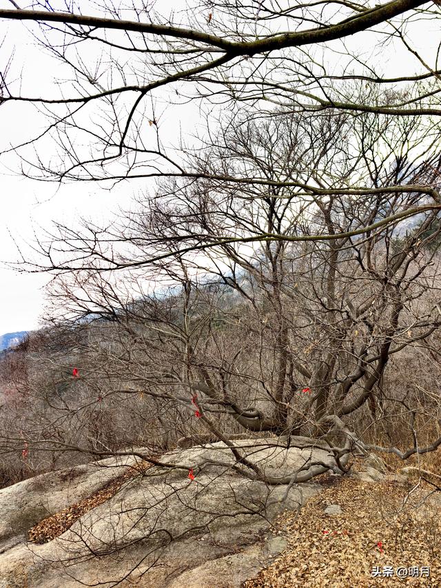 大珠山，你有多少神奇？