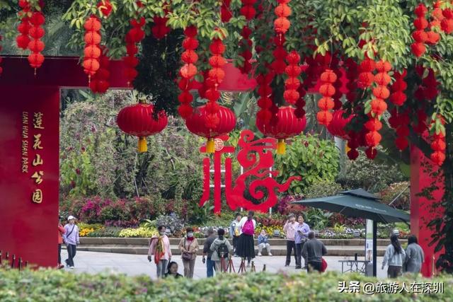2026年深圳春节游玩全攻略，六大维度解锁年味，您最想去哪逛大年