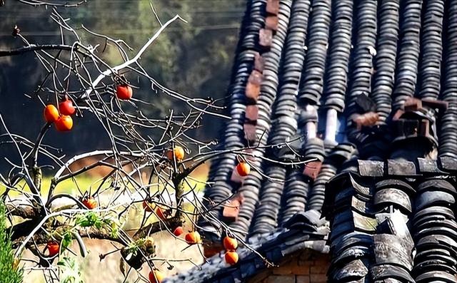 “上午立秋把扇丢，下午立秋热死牛”，今年立秋几点？有啥讲究？