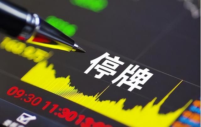 又一企业暴雷！四年造假161亿，坑害13万百姓，套现金额无法估量