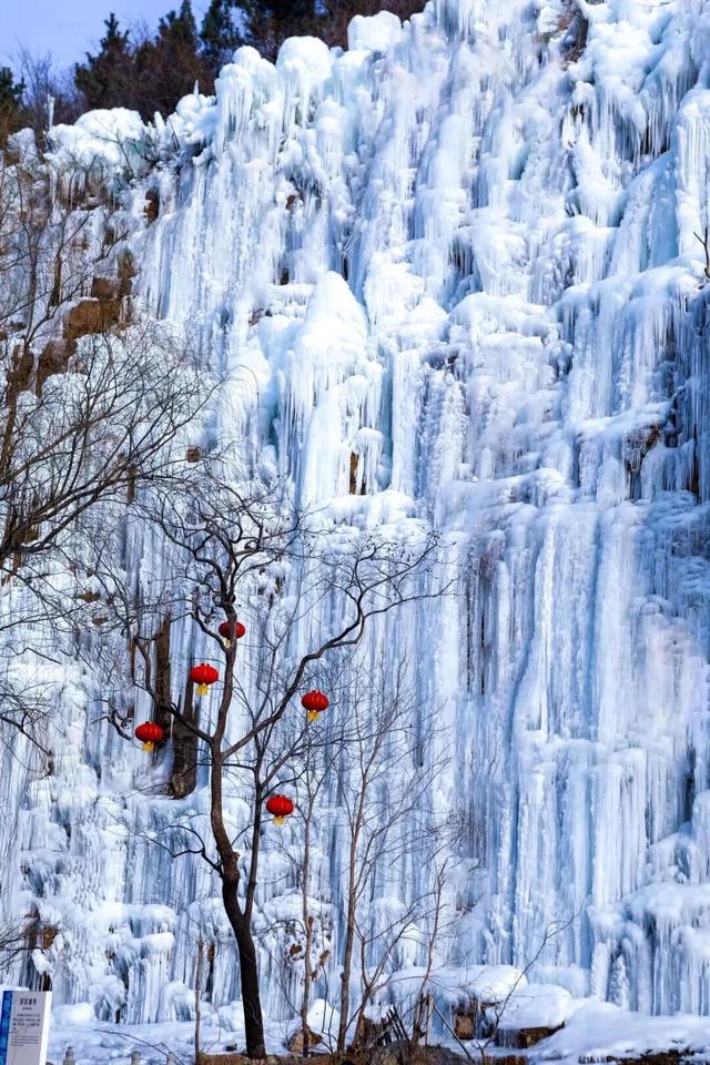 山东冬日奇观即将陆续上演，冰雪里的自然史诗等你解锁！