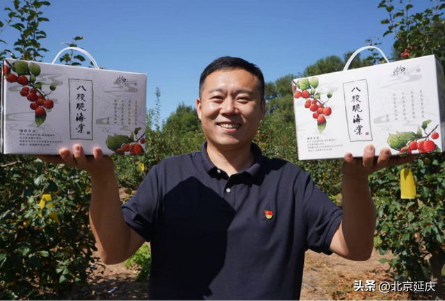 约好了哦~金秋一起到延庆摘海棠