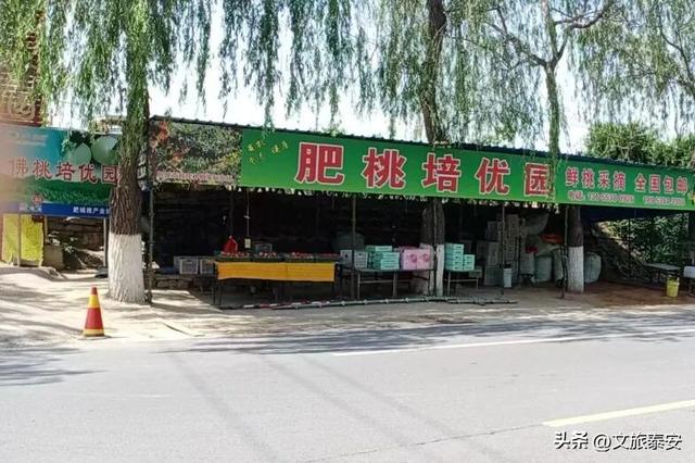 品爆汁肥桃！赏花路秋景！泰安 “小胖城” 一日游就该这么玩！