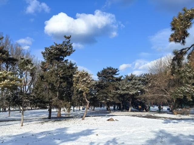 雪后二一九公园藏着治愈系美景