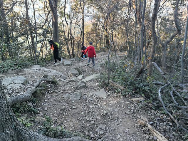 南京紫金山郊野徒步