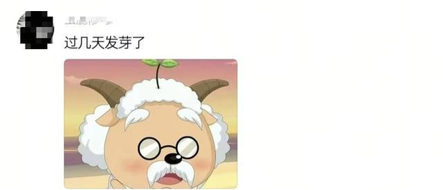 浙工大火了！典礼遇暴雨，学生打伞校长“湿身”，网友：真双一流
