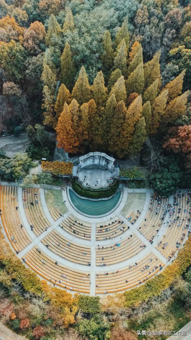 51张照片告诉你，南京的秋天有多美！