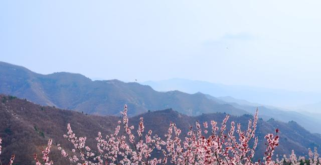 山西4A景区敢免票，五月底前全国免费，山风一吹爽到想辞职