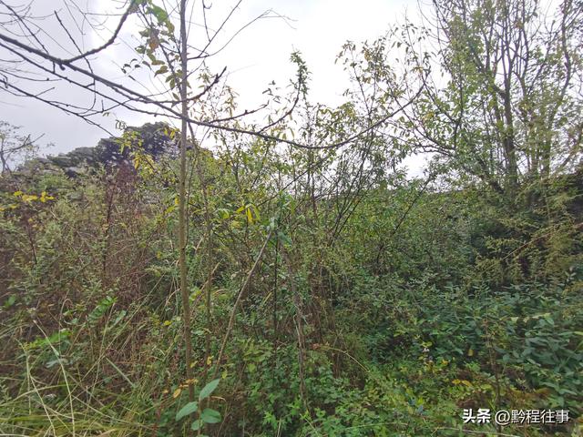 偏远乡野中寻找一个古寺遗址，探险一个深邃溶洞